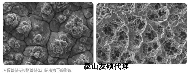 来宾蔡司来宾扫描电镜