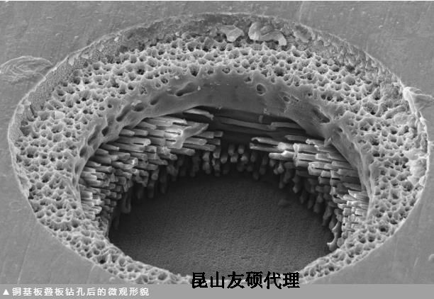 来宾蔡司来宾扫描电镜